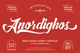 Anordighos: The Playful Display Font for Standout Campaigns