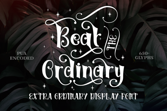 Beat the Ordinary: A Bold Display Font for Handmade Brands