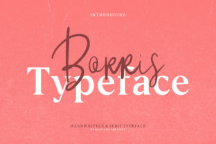 Borris: The Authentic Handcrafted Font for Editorial Design