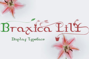 Braxica Lily Display Font for Elegant Digital Campaigns