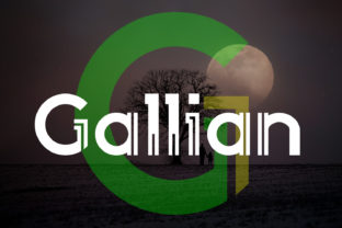 Gallian Typeface Review: Elevating Campaign Visuals With Modern Display Typography