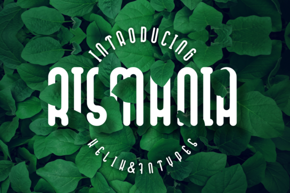 Rismania Display Font for Editorial Design