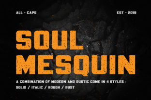 Soul Mesquin Display Font for Bold Campaign Headlines