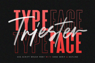 Triester: The Bold Brush Display Font for Handmade Branding